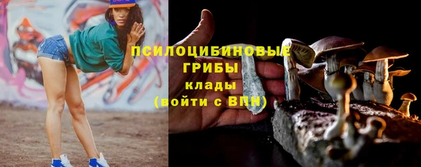 тгк Богданович