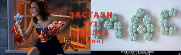 тгк Богданович
