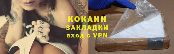 тгк Богданович