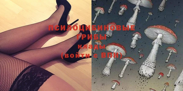 мдпв Артём