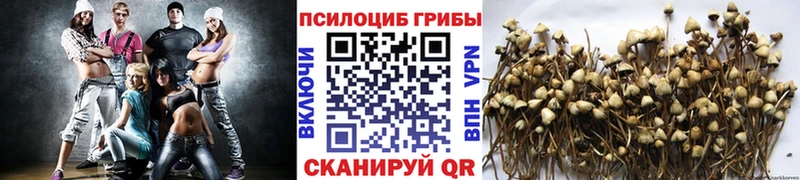 Псилоцибиновые грибы мухоморы  Вилюйск 